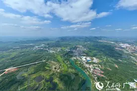 广西来宾：“放管服”改革推动林木采伐许可证“掌上办”图片