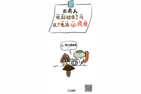 小云故事绘特刊｜云南人收到短信了吗？这个电话必须接！图片