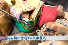 吓惨了！女子过节打扫房间，打开洗衣机后发现一条大蛇图片