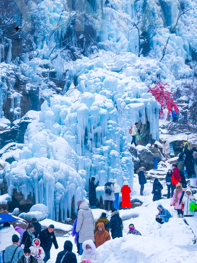 云台山的冰挂要来了！