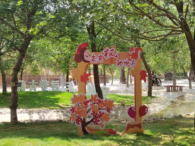 “山东邂逅美”摄影大赛｜相约古薛露营基地 赴一场文化与自然盛宴