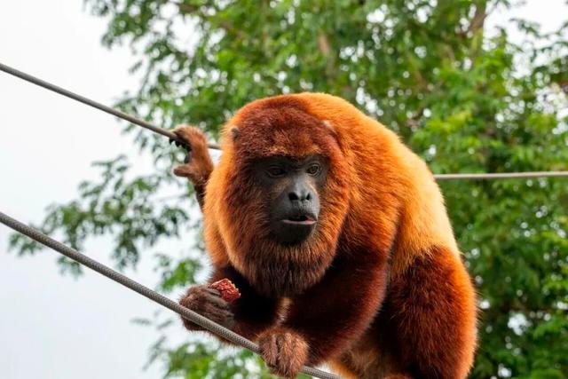 这是今晚的高淳水慢城！