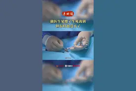 系列纪录片《医世间》：医生边哭边抢救白血病小女孩，“做医生见惯了生死离别但有时也受不了”图片