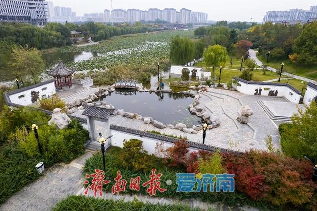 一年四季 泉在济南丨秋色入画！齐河大清河公园美成诗意画卷