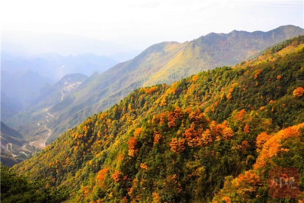 巴山大峡谷放大招啦！免费......