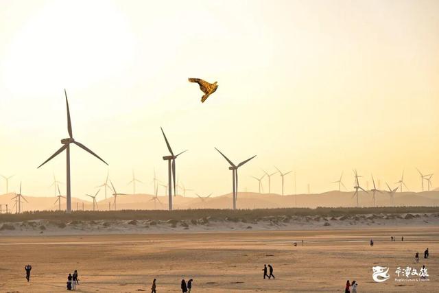 冬日平潭的6种打开方式，每一步都踩在治愈的点上