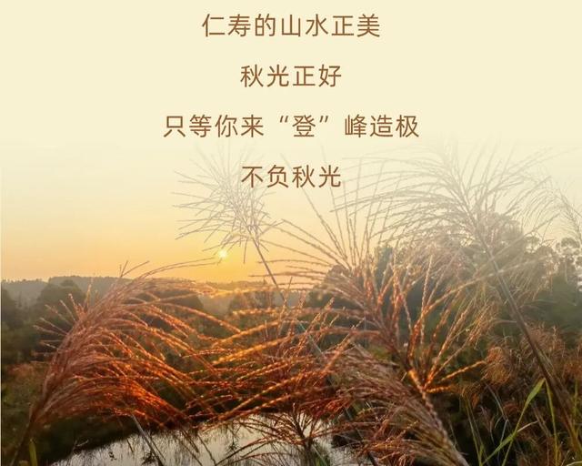 登高、访古、寻秋！重阳来仁寿，“老”有意思了！