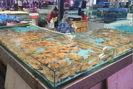 节后海鲜市场物丰价稳 螃蟹尝鲜正当时图片