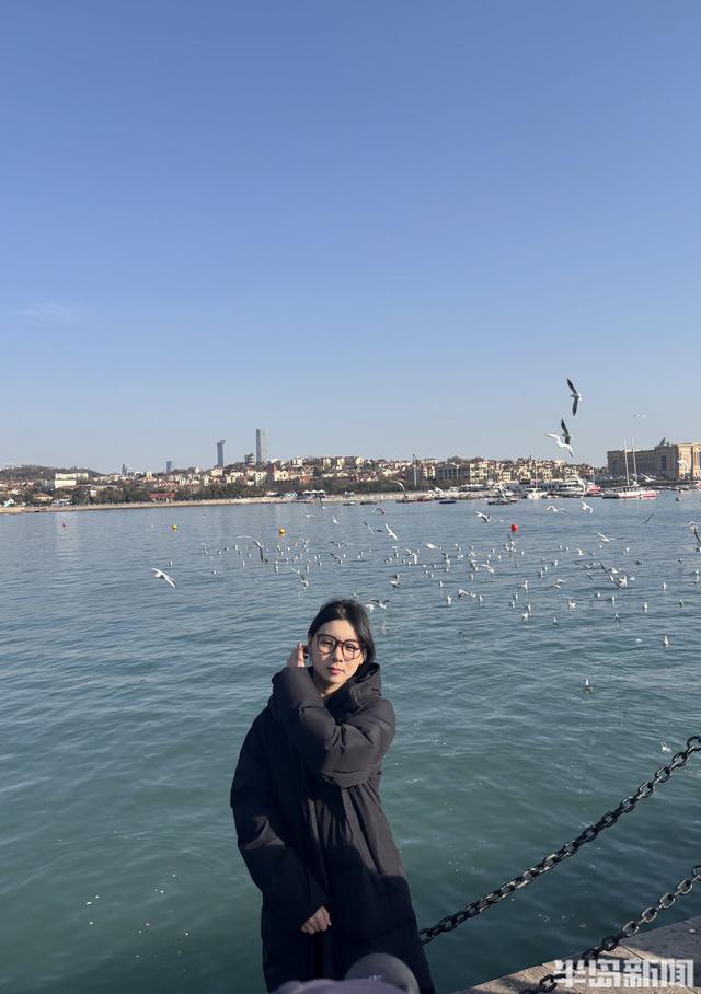 冬日人鸥共舞绘就和谐图景