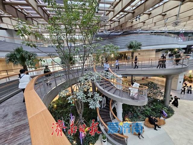 一年四季 泉在济南丨游鹊华中新园 市民打卡热度不减