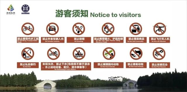 域见上海·域见奉贤｜冬春之交顶流花神C位出道！海湾国家森林公园梅花节定档大年初一