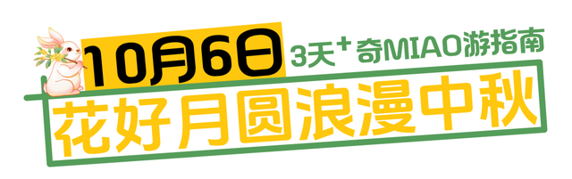 浙报头版聚焦莲都！在古堰画乡遇见画中人