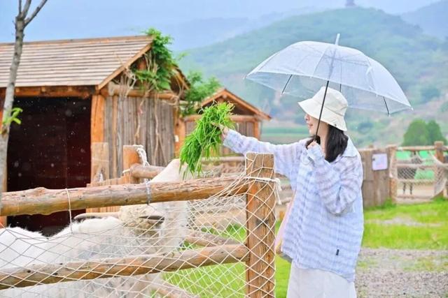 从云端到山野，济南这两地入选省级案例！你打卡过吗？