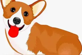 面对恶犬伤人，这些预防知识必须知道！图片
