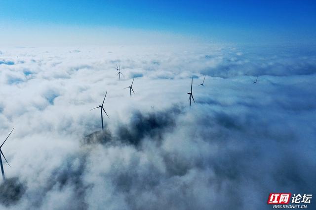 【每日一图@湖南】雾凇挂枝，流云绕风车！桂东万洋山冬景如画