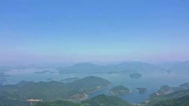世界最大、亚洲唯一！今晨，他们在30000多棵楠木、8600亩森林，1500年的时光里奔跑......