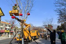 春回大地绿意浓 精细养护绘绿景图片