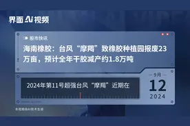 海南橡胶：台风“摩羯”致橡胶种植园报废23万亩，预计全年干胶减产约1.8万吨