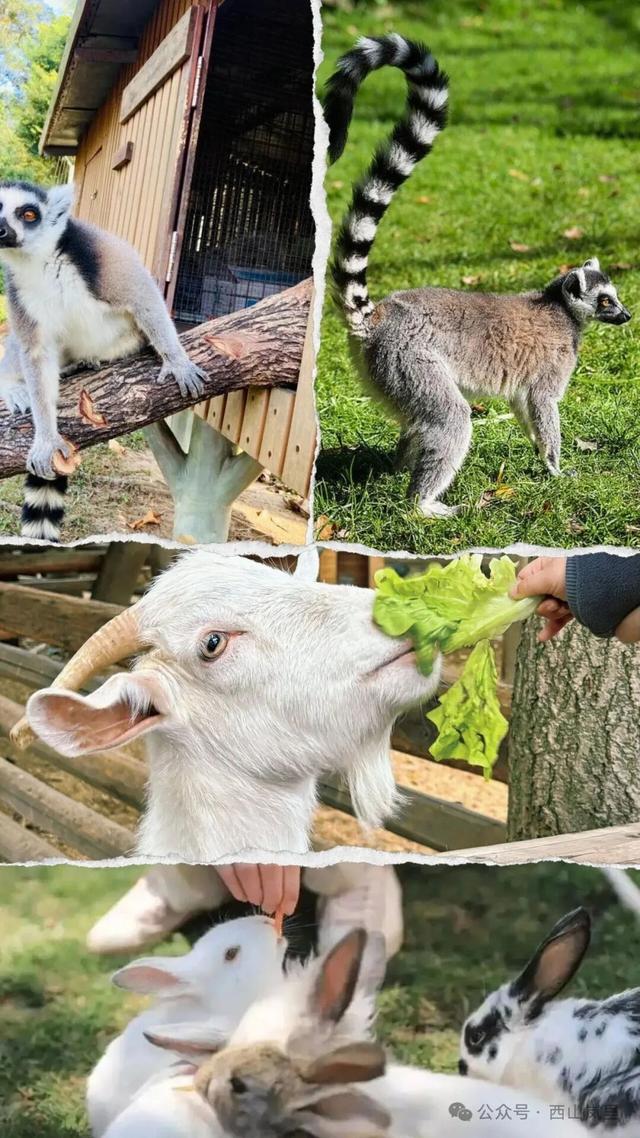 日照一全新打卡地！也太美太治愈了吧！