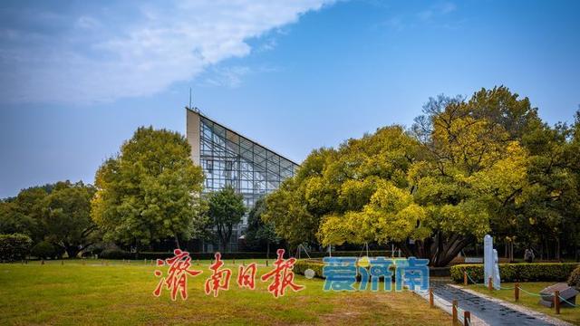 泉城公园秋日景色正当时 济南市民休闲赏秋绝佳去处