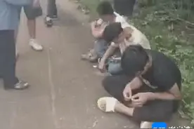 海口3人白天偷槟榔被抓图片