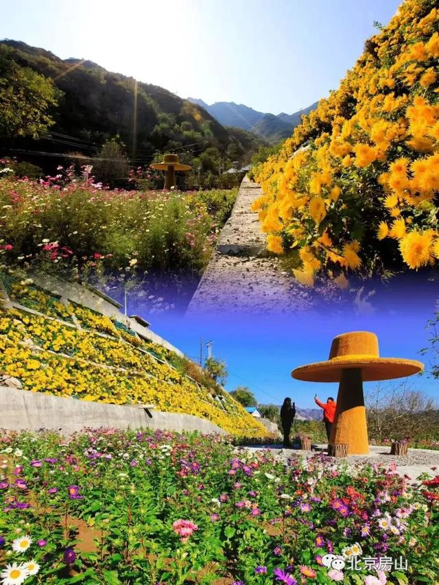 多彩京秋各区巡游 |房山区美翻了！秋日限定~
