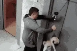 轿车用铁链拴狗一路拖行！网友炸了图片