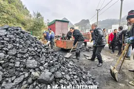 百里杜鹃：爱心煤炭暖寒冬图片
