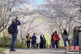 花园场景嵌入城市 北京今年将启动10处花园示范街区建设图片