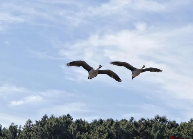 雪国净月 心归之处