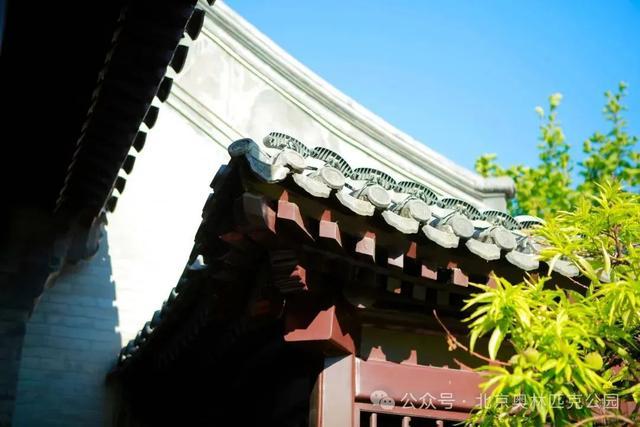 太精彩！北京夏日“室内遛娃天花板”来了！