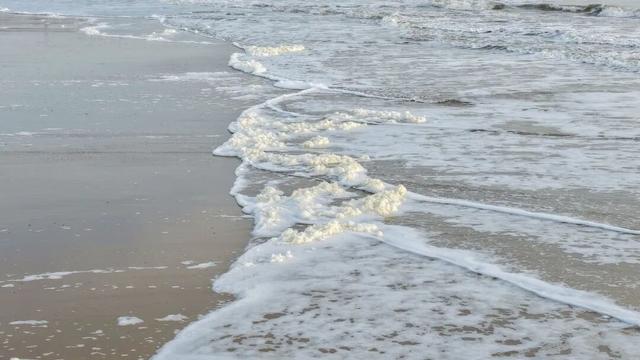 今早实拍！日照海边结冰了！低温还要持续几天？