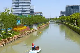 静安水环境的“碧水新篇”少不了TA们→图片