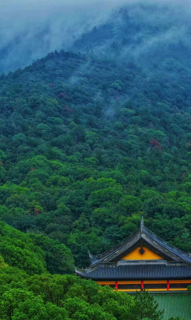 再 致 盐 城