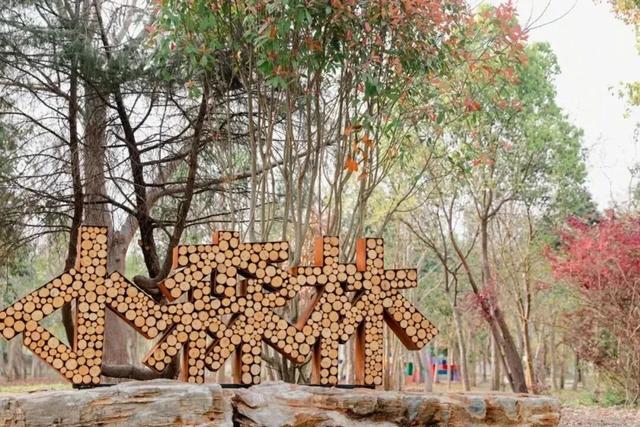 旅超大赛！金山主打“免费潮”，周末快来薅羊毛