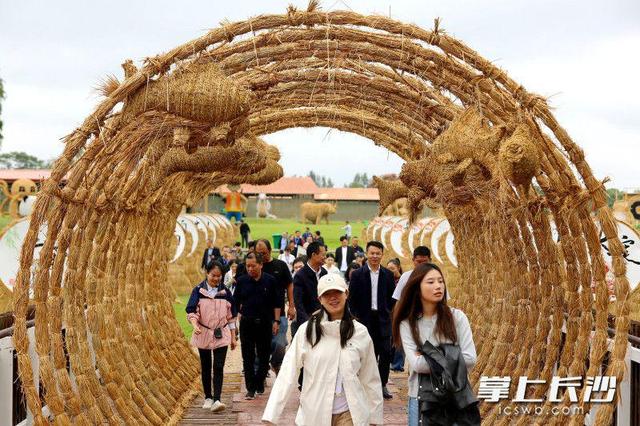 “考古+农耕”双体验，中国最早的城市遗址等你来打卡｜“来这澧 爱这澧”系列报道⑥