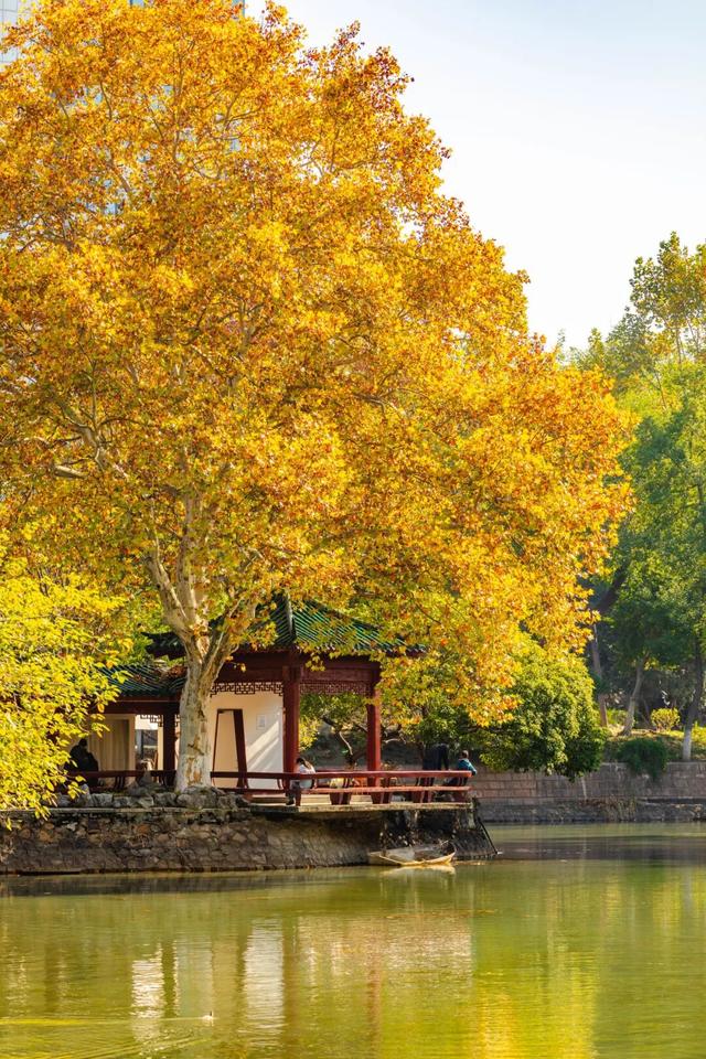 在江汉，听见公园里的秋色私语