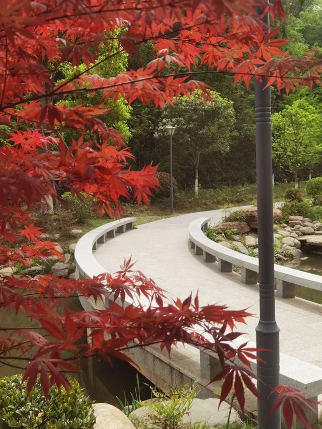 组个“橘” “宜”起“都”来解锁新乐趣→