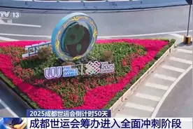 世运会历史上首次火炬传递及点火将如何呈现？更多亮点抢先看图片