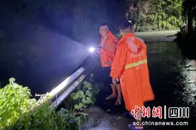 乐山：暴雨导致5条道路部分路段通行受阻图片