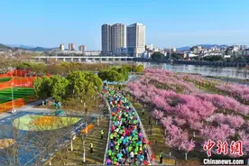 2025远安马拉松开跑 万人穿越花海感受春意图片