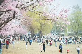 一键打开长春的“春和景明”图片