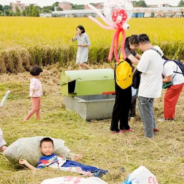 好吃好玩又好逛！本周末约定你庆丰收
