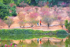 山水桃花相映红图片