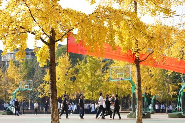 超美！大邑人的顶流来了