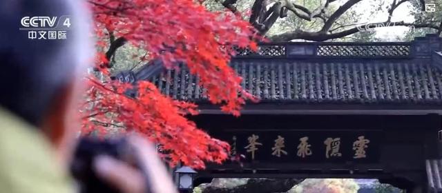 旅游计次票密集 “上新”！一票串联交通文旅 激活冬季消费新引擎