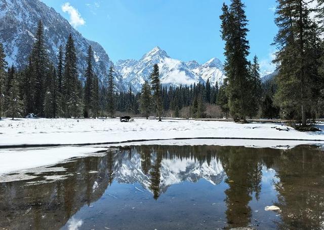 平武县发力“冰雪+” “冷资源”带动“热经济”