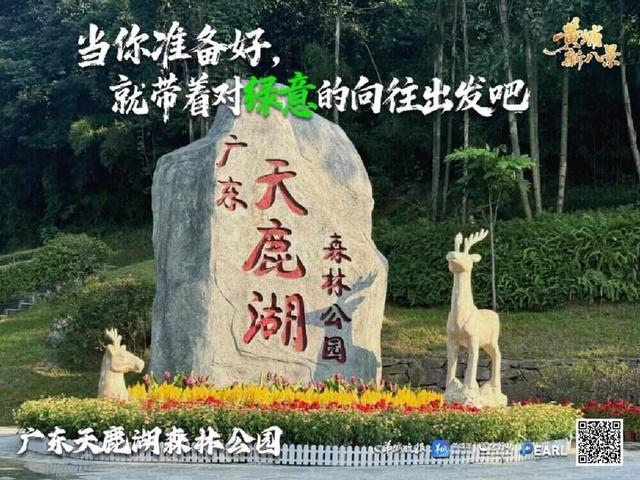 “黄埔新八景”闪耀广州国际灯光节，文旅融合奏响活力乐章