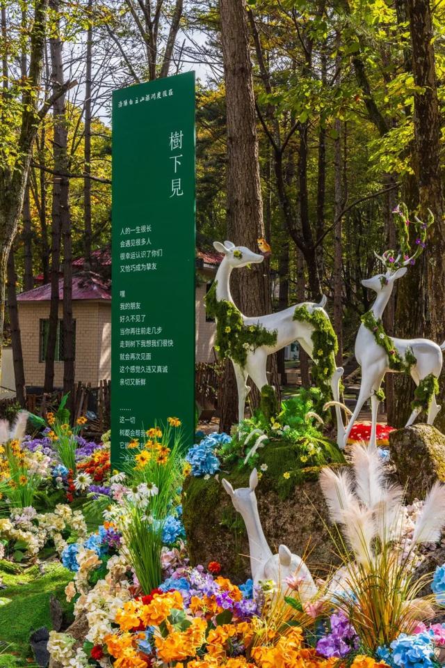 免门票福利！白云山绝美秋色正在上映→