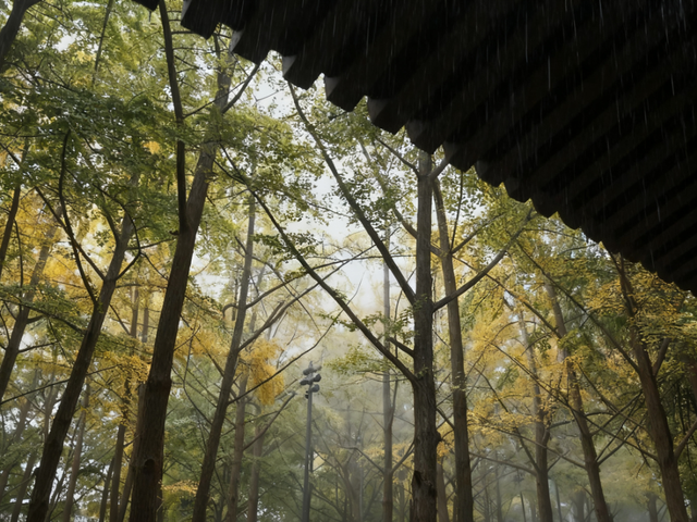 周末必打卡！西安4个雨天氛围感公园→
